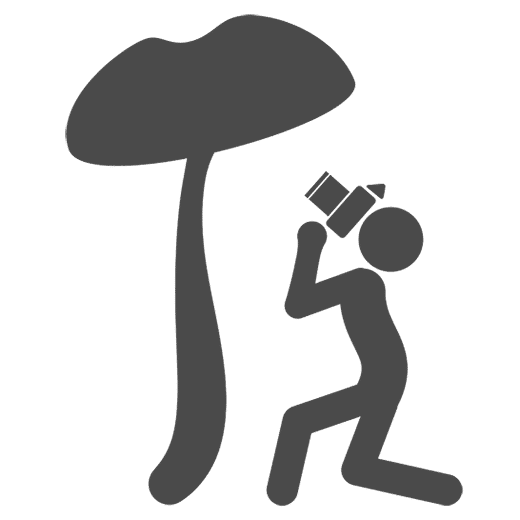 loader image